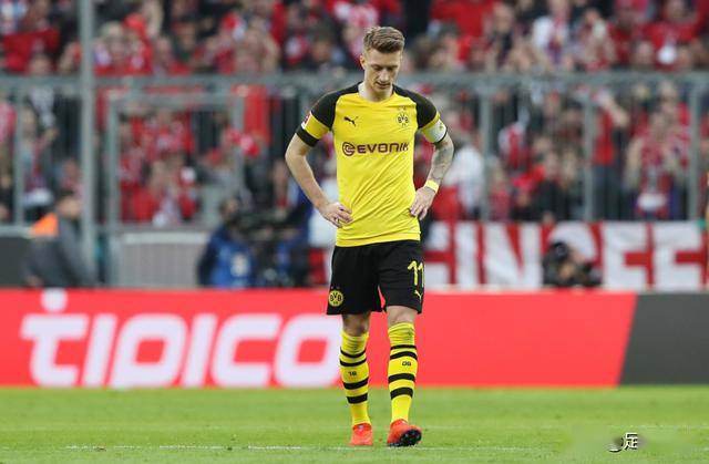  法兰克福新星闪耀助球队跻身欧冠区  